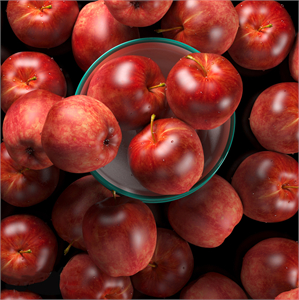 APPLE 02